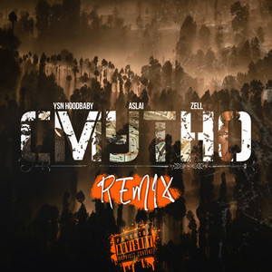 Смутно - Remix by YSN HoodBaby, Aslai, Zell