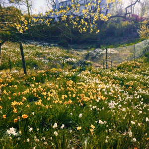Second Bloom by Brian Stiroh