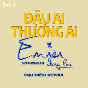 Hồ Phong An, Đại Mèo & PN Ent - Mashup Đâu Ai Thương Ai x Em Nên Dừng Lại (Đại Mèo Remix)