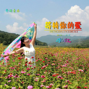 李红 - 等待你的爱 (DJ版)