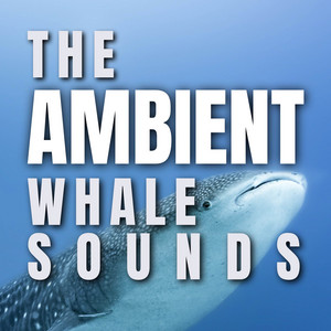 The Ambient Whale Sounds album