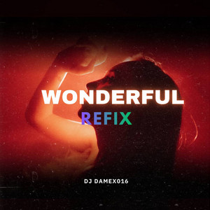 Djdamex 016 - Wonderful (Refix)