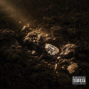 Diamond Inna Rough by Passport P