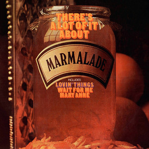 Mr Tambourine Man by Marmalade