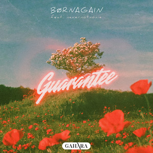Guarantee by BØRNAGAIN, nevernotnonie