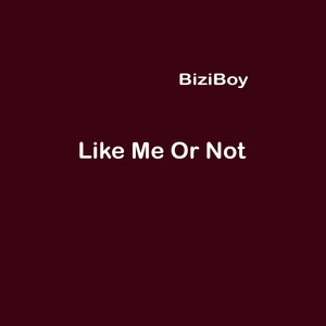 BiziBoy - Like Me Or Not (Slow)