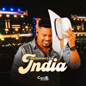 Passinho da India - Ao Vivo DVD by Chicote De Luxo
