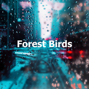 Forest Birds album
