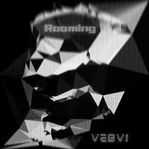 Roaming