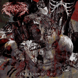 Album cover: Infrasonic Rot, Agonal State (Spotify)