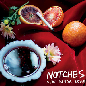 Notches cover