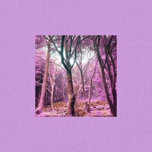 Someone Else by DREGS..., Villem