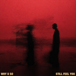 Still Feel You by Why U So