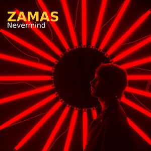 Nevermind - Radio Mix by Zamas