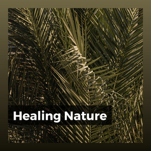 Healing Nature album