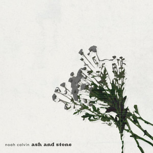 Ash and Stone by Noah Calvin