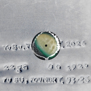 album cover: Foundry