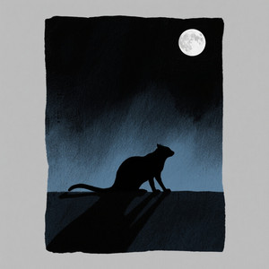 Alejandra Rodriguez - One Night.