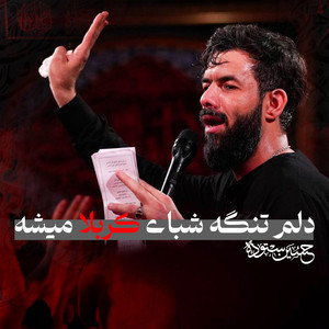 دلم تنگه شبای کربلا میشه by حسین ستوده