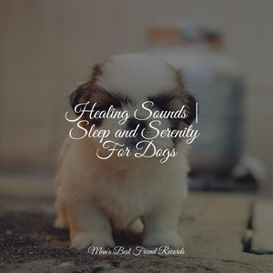 Healing Sounds | Sleep and Serenity For Dogs album