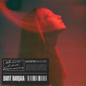 Where Love Remains by davit barqaia