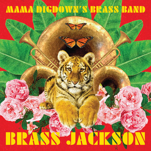 The Way You Make Me Feel by Mama Digdown's Brass Band