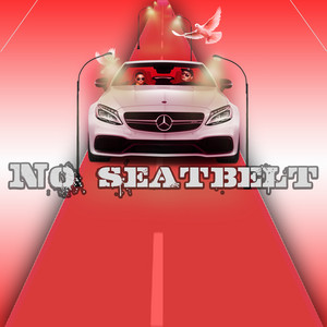 No seatbelt
