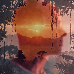 Brace for the Wild by Daniel de Kay, Bloody Funk