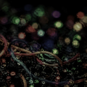 Soft Wire Lullaby by James Bright