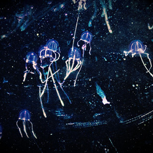 Midnight Meditations, Vol. 02