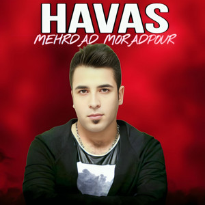 Mehrdad Moradpour - Havas