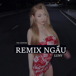 LUNY - Remix Ngầu (VieConfide)