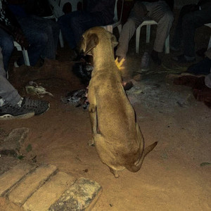 Phuz'ikhemisi