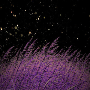 fireflies by Venteora