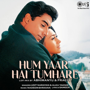 Hum Yaar Hai Tumhare (Lofi Mix)