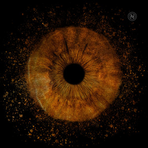 Opening Iris by Massimo Puca