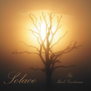 Solace by Mark Geertsema