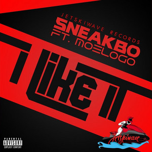 I Like It by Sneakbo, Moelogo