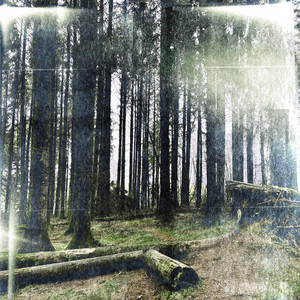 What is Left of the Winter Night - Stripped Version by Kira Sophia