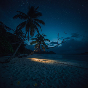 Dreams Beneath The Night Sky by Evanik
