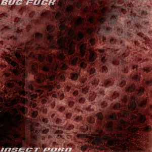 INSECT PORN - song and lyrics by BUG FUCK | Spotify