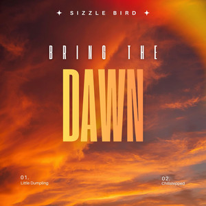 Bring the Dawn by Sizzle Bird, Little Dumpling, Chillstepped