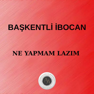 Ne Yapmam Lazım