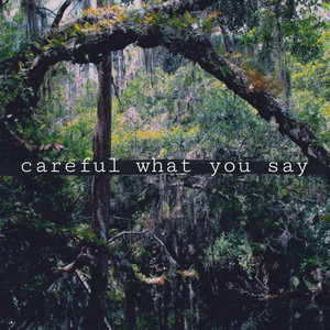 Careful What You Say