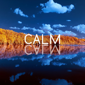 Calm album