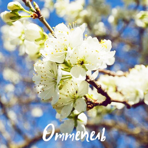 Гарчу Венера - Оттепель (cover)