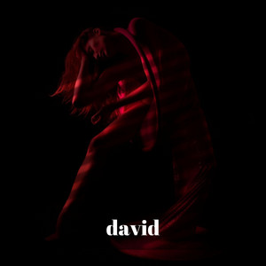 David by Titach