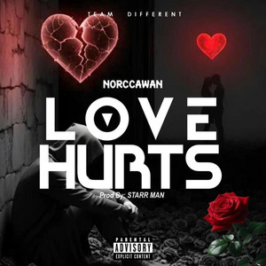 NORCCAWAN - Love Hurts