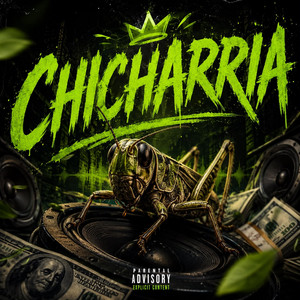 Chicharria by APX NOVA