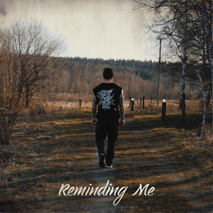 Reminding Me by Zhané FU